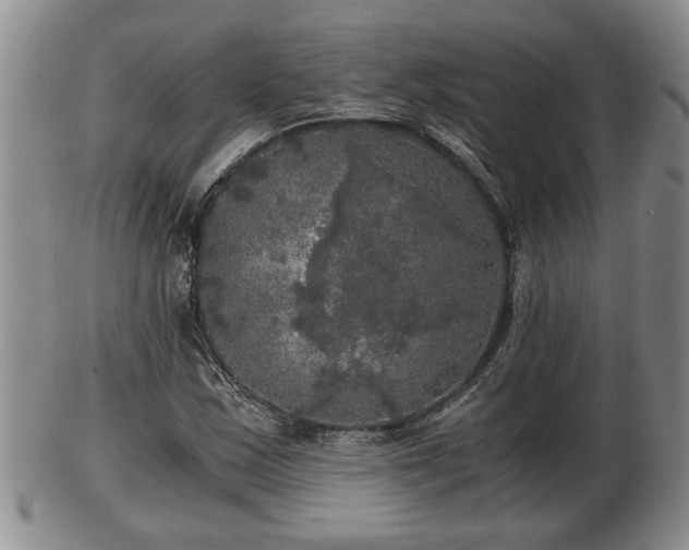 X0000103221163200809040956