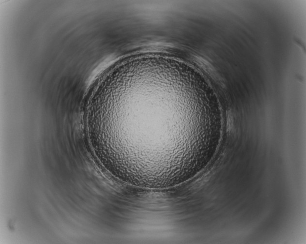 X0000103221164200809040956