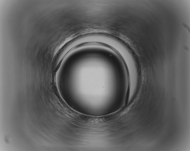 X0000103221165200809040956