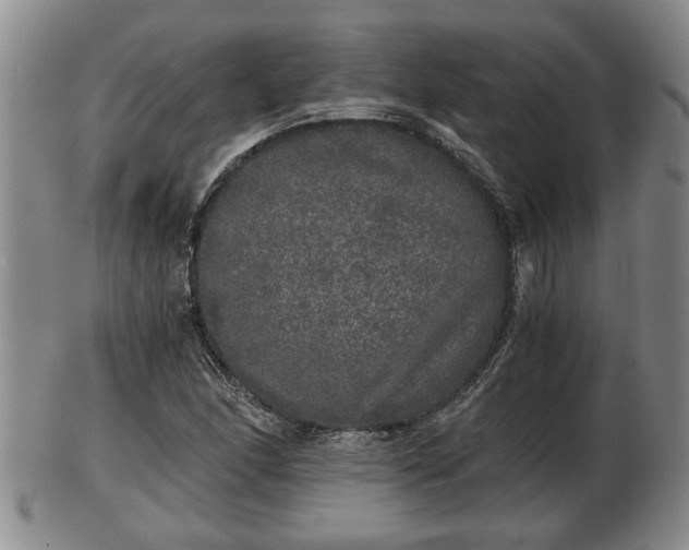 X0000103221166200809040956