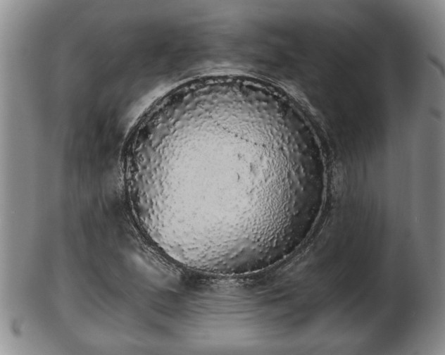 X0000103221167200809040956