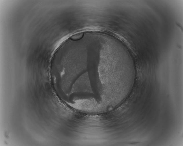 X0000103221168200809040956