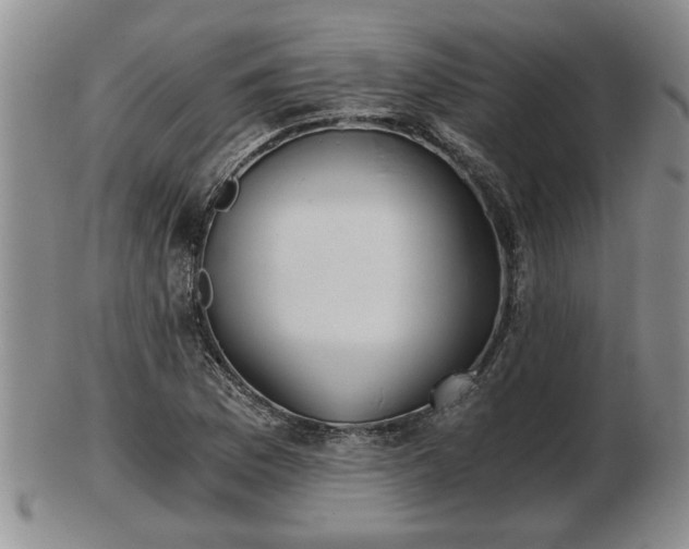 X0000103221169200809040956