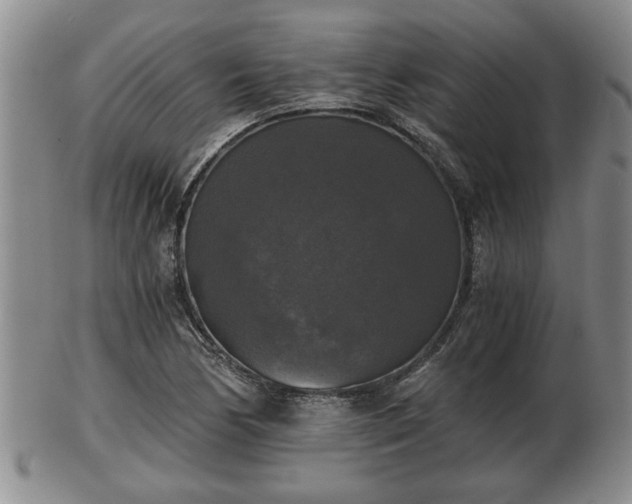 X0000103221170200809040956