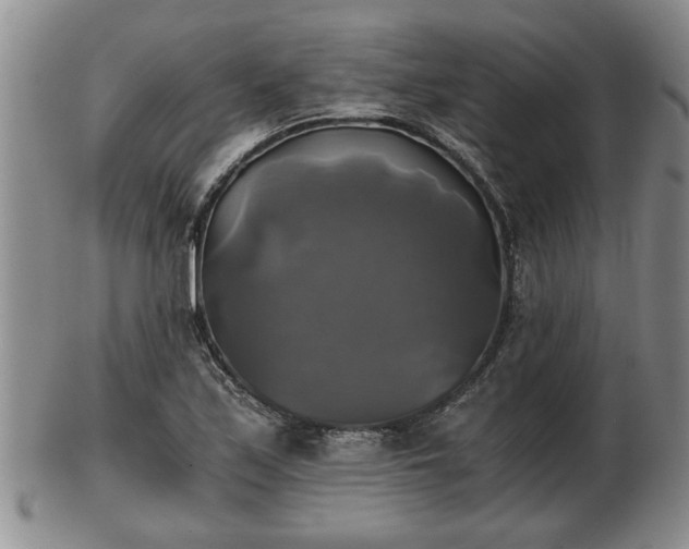 X0000103221171200809040956