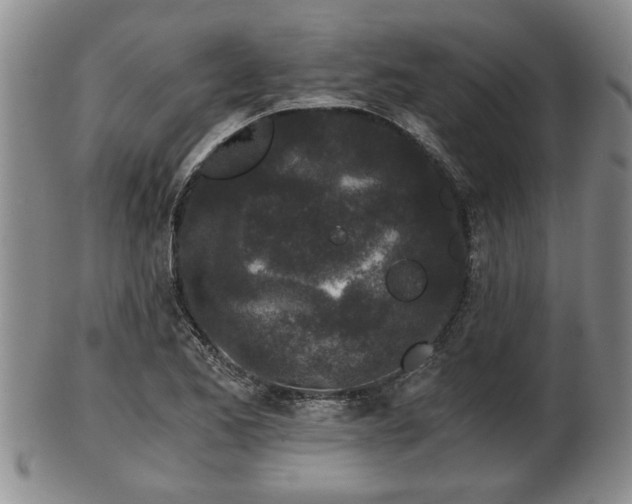 X0000103221173200809040956