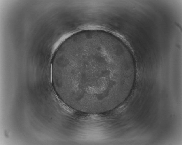 X0000103221175200809040956