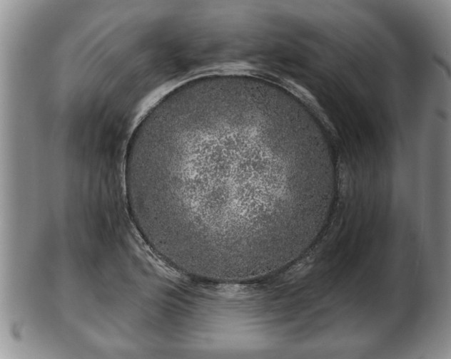 X0000103221176200809040956