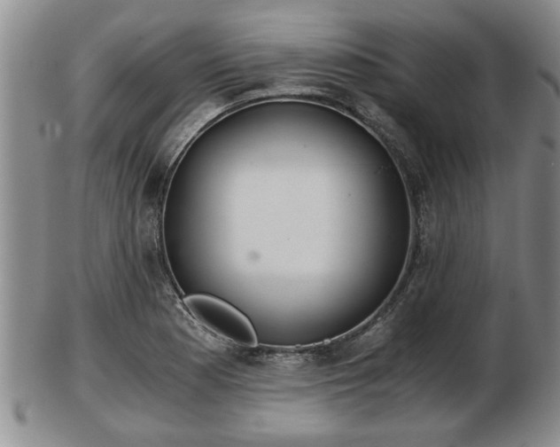 X0000103221177200809040956