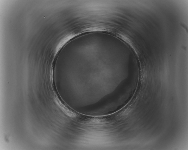 X0000103221179200809040956