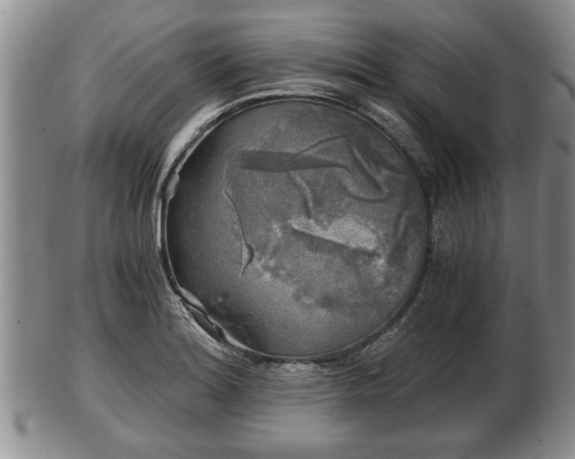 X0000103221180200809040956