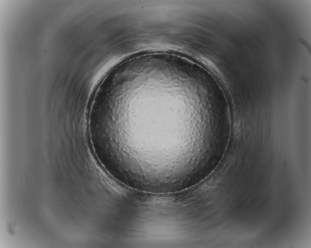 X0000103221183200809040956