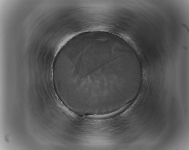 X0000103221184200809040956