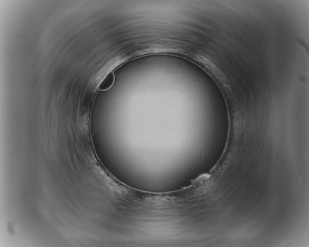 X0000103221185200809040956