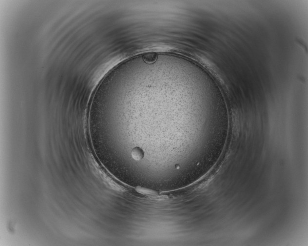 X0000103221186200809040956