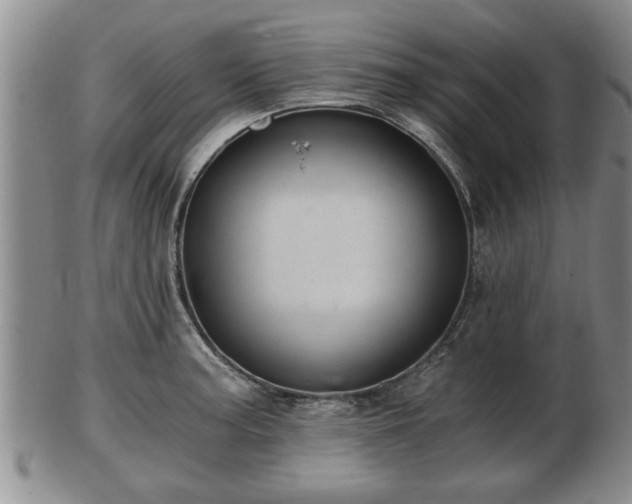 X0000103221187200809040956