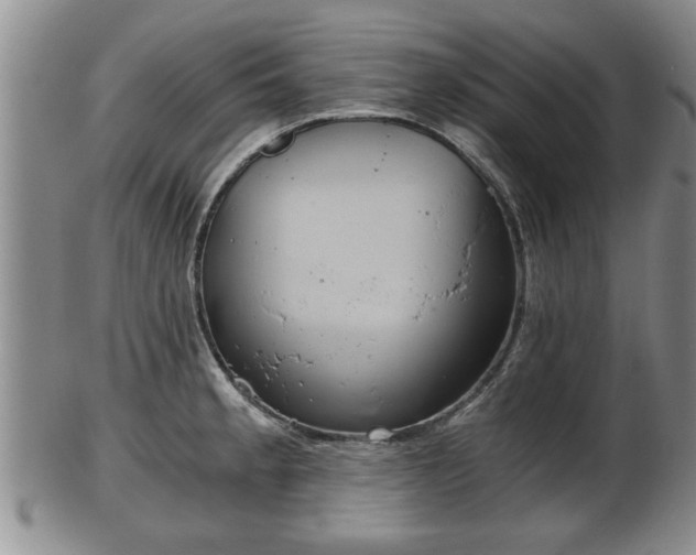 X0000103221189200809040956