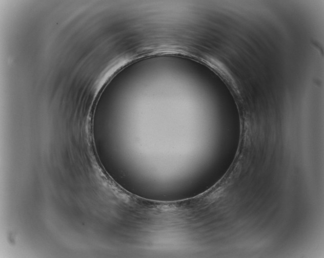 X0000103221190200809040956