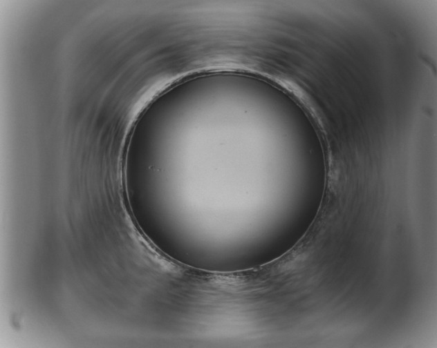 X0000103221191200809040956