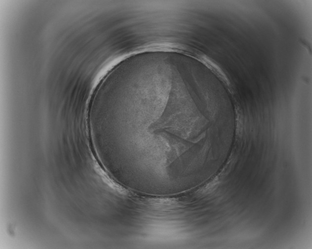 X0000103221192200809040956