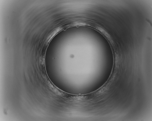 X0000103221193200809040956