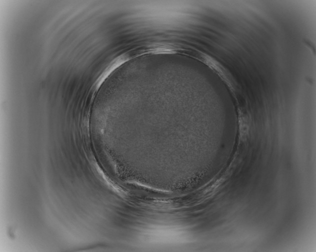 X0000103221194200809040956