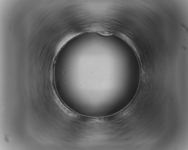 X0000103221195200809040956