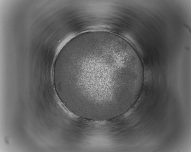 X0000103221196200809040956