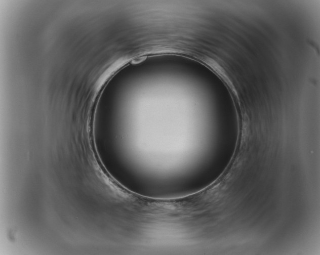 X0000103221197200809040956