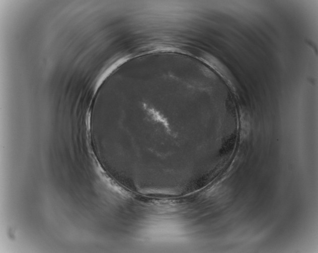 X0000103221198200809040956