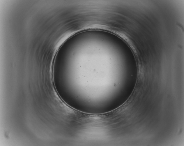 X0000103221199200809040956