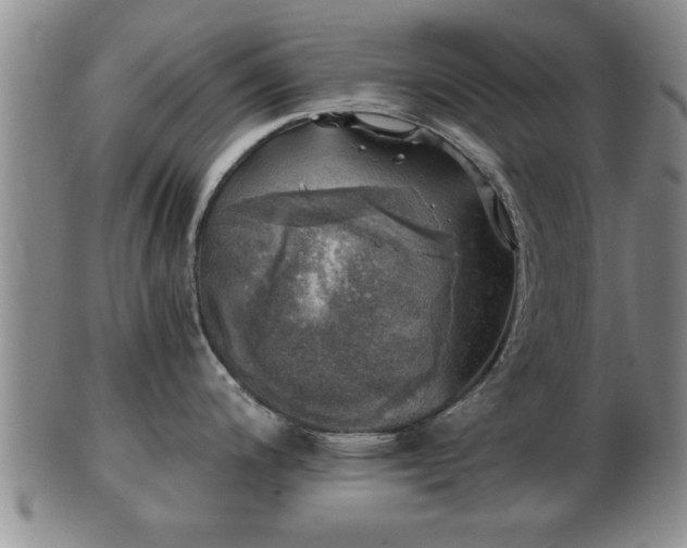 X0000103221200200809040956