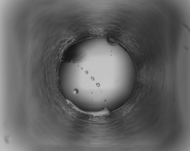 X0000103221201200809040955