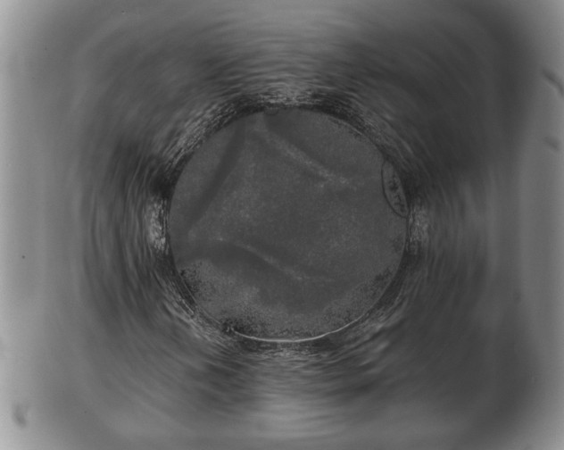 X0000103221202200809040955