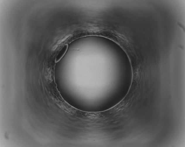 X0000103221205200809040955