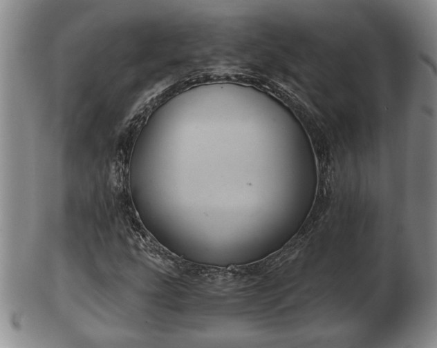 X0000103221207200809040955