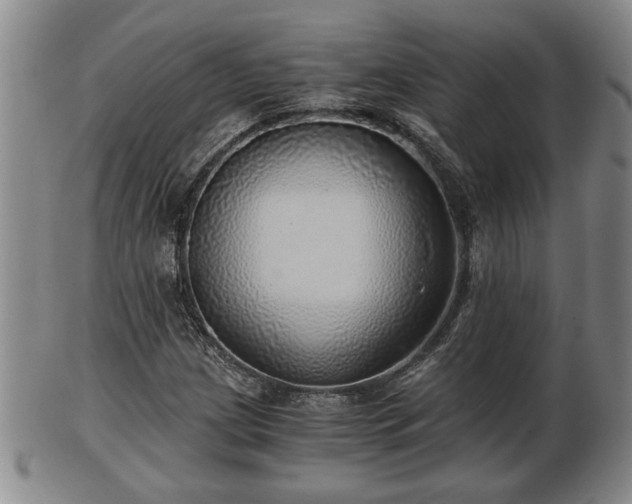 X0000103221209200809040955