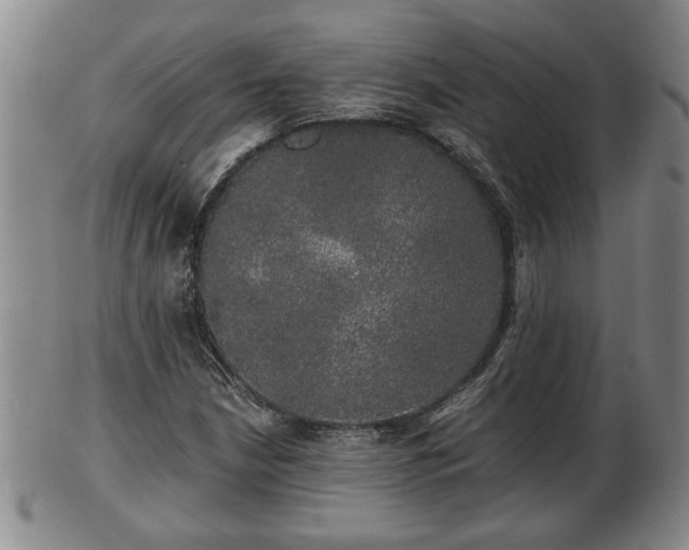 X0000103221210200809040955