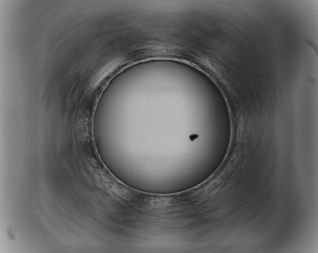 X0000103221211200809040955