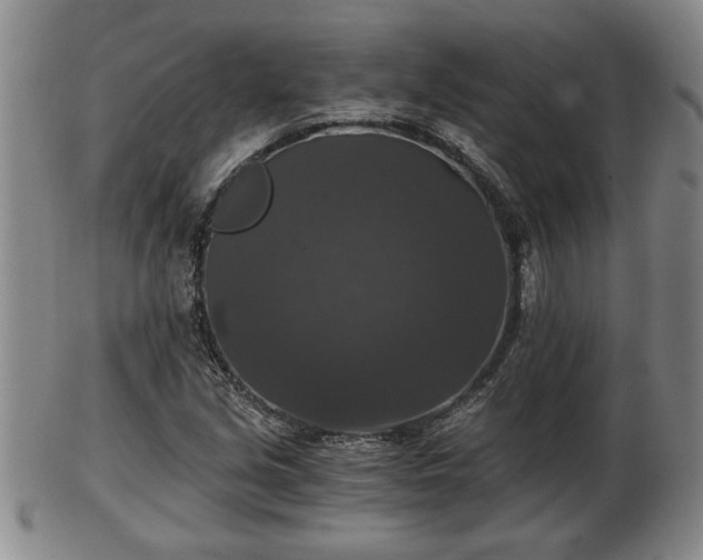 X0000103221213200809040955