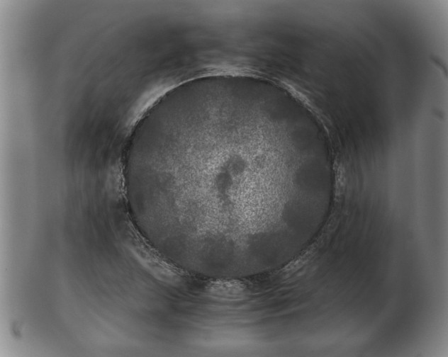 X0000103221215200809040955