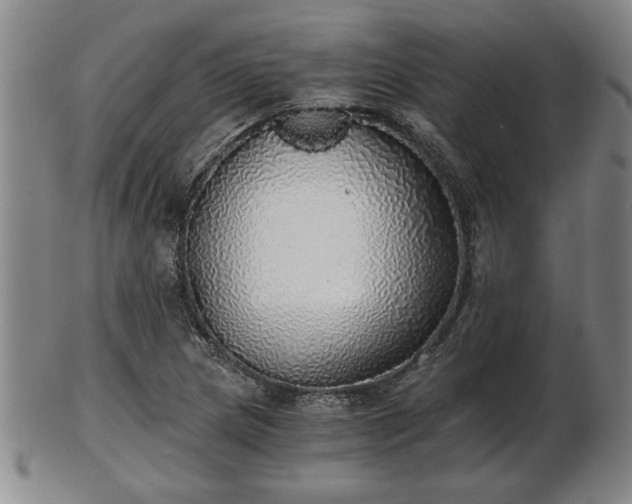 X0000103221217200809040955