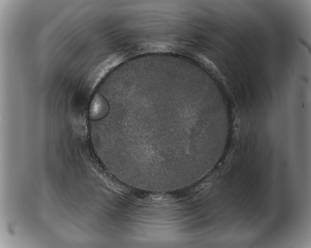 X0000103221218200809040955