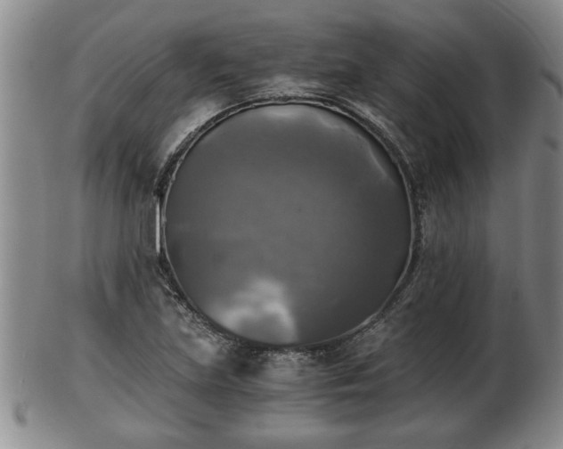 X0000103221219200809040955