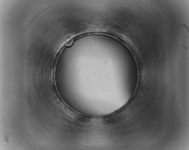 X0000103221220200809040955