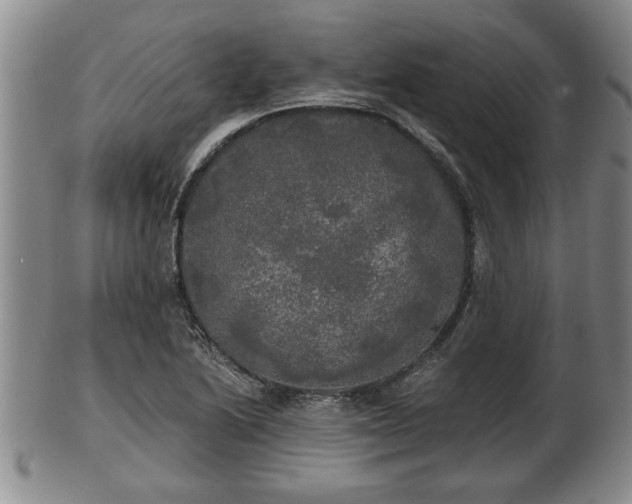 X0000103221222200809040955