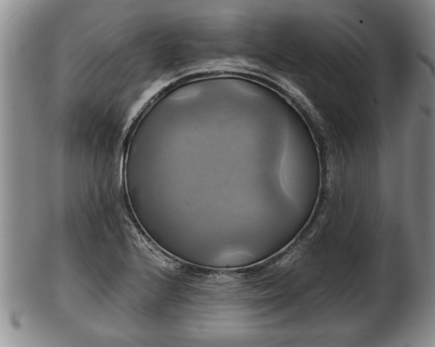 X0000103221224200809040955