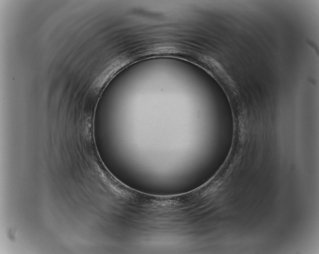 X0000103221225200809040955