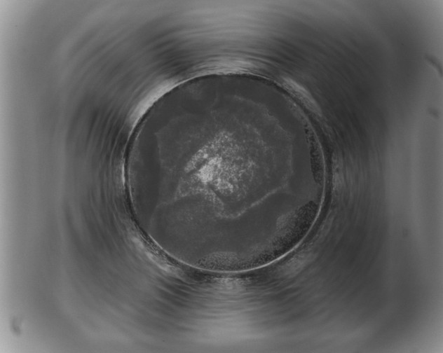 X0000103221226200809040955