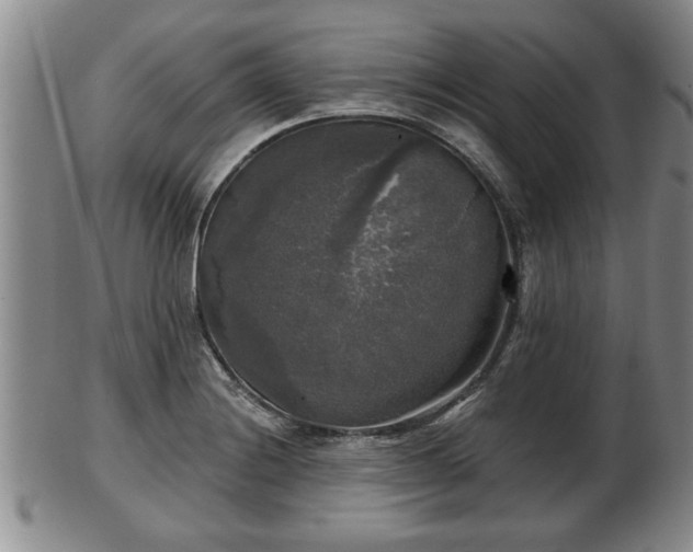 X0000103221228200809040955